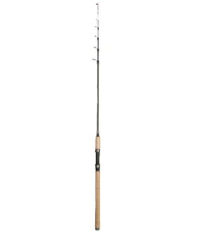 Arca Hengel Trout Catch 2.40m Tele 2 Arca Hengel Trout Catch 2.40m Tele