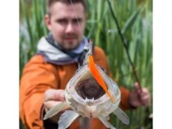 Crazy Fish Polaris - 10 Cm - 4d - Chart Swamp -Sticky Baits-winkel Crazy fish polaris snoekbaars bek 600x450 1