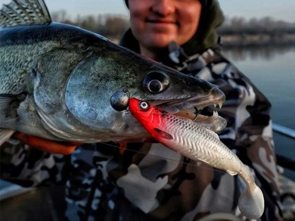 Savage Gear LB 4D Herring Shad - 16 Cm - Red Head 4 Savage Gear LB 4D Herring Shad - 16 Cm - Red Head - Afbeelding 2