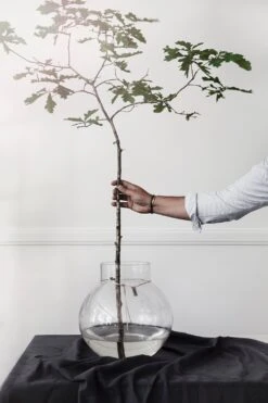 Ernst Glazen Vaas Doorzichtig, 38 Cm -Sticky Baits-winkel ernst glass vase clear 13