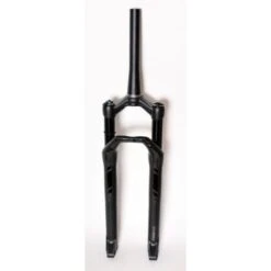 Dt-swiss DT Swiss F232 One 29 Voorvork-Zwart