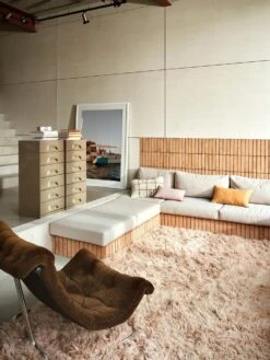 HKliving Fluffy Vloerkleed Soft Pink 200x300cm - TTK3100 13 HKliving Fluffy Vloerkleed Soft Pink 200x300cm - TTK3100 -Sticky Baits-winkel hkliving fluffy vloerkleed soft pink 200x300cm ttk 3