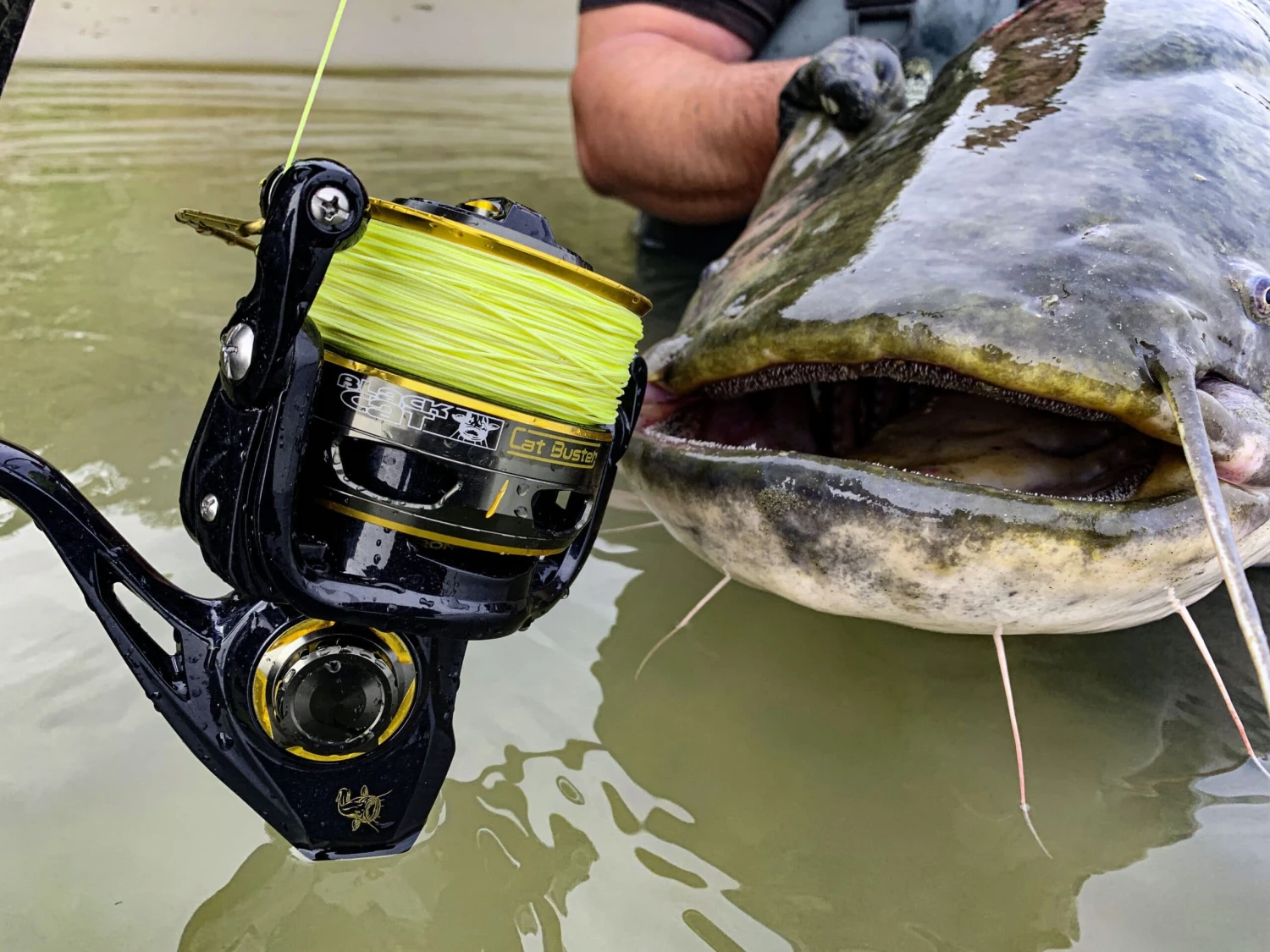 Black Cat Buster Spin FD 6120 3 Black Cat Buster Spin FD 6120 - Afbeelding 2