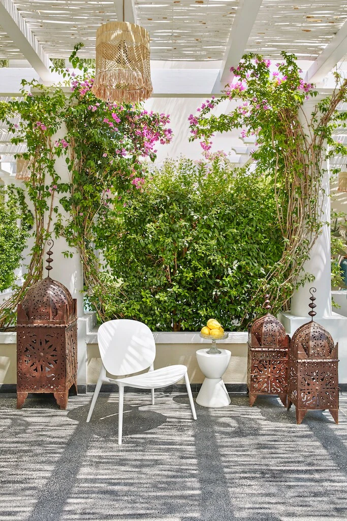 Kartell Prince Aha Kruk, Waswit 4 Kartell Prince Aha Kruk, Waswit - Afbeelding 2