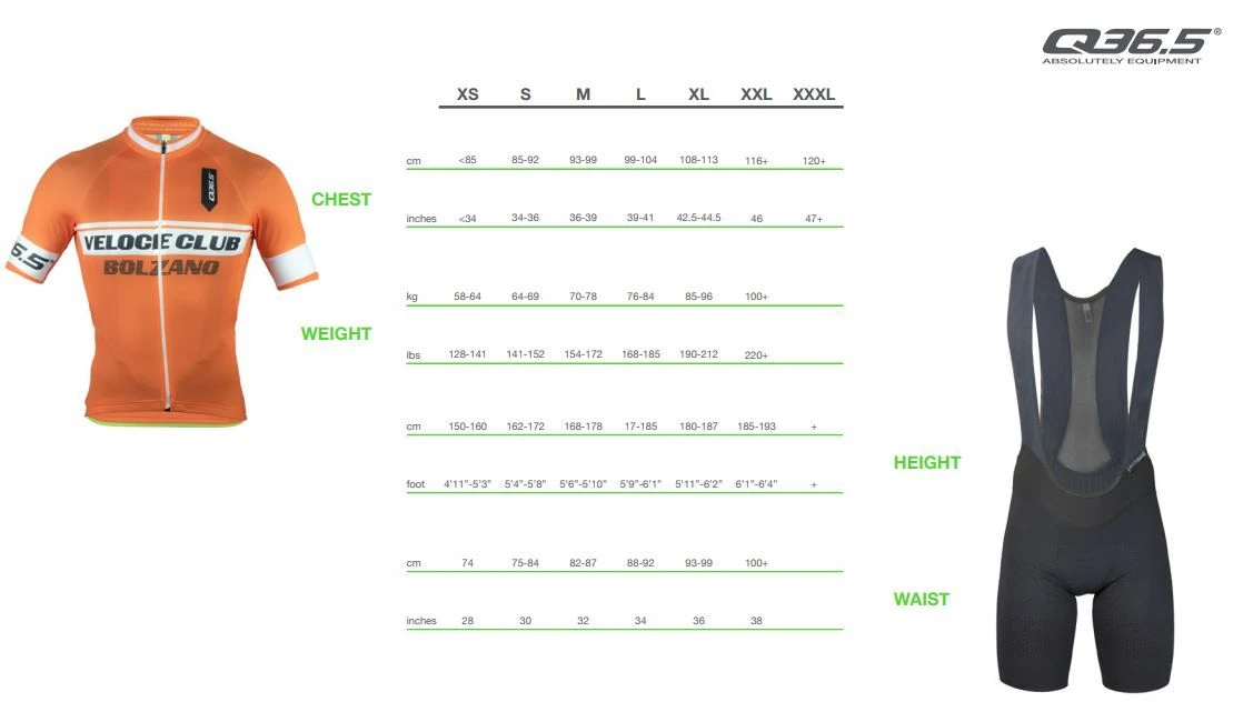 Q36.5 R2 Lion Wielershirt Korte Mouw 3 Q36.5 R2 Lion Wielershirt Korte Mouw - Afbeelding 2