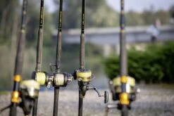 Black Cat Extreme FD 4105 13 Black Cat Extreme FD 4105 -Sticky Baits-winkel mmobrn6rgsx4bj3rc2hurruebqtxznam scaled 1