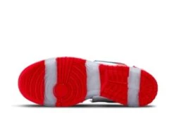 Nike SB Dunk Low OG Ebay Sandy Bodecker -Sticky Baits-winkel nike sb dunk low og ebay sandy bodecker 2