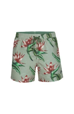 O'Neill Floral Korte Broek Heren, Groen/bont